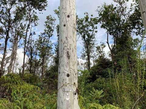 OHIALANI RD, VOLCANO, HI 96785