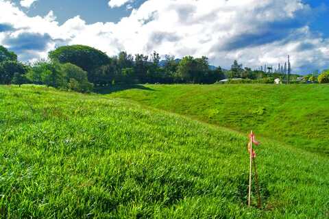 OLOHENA RD, Kapaa, HI 96746