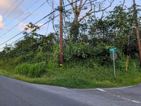 S PUNI MAKAI LOOP, PAHOA, HI 96778