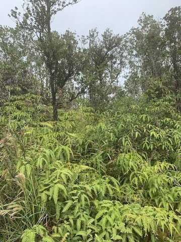 KOKOKAHI RD, VOLCANO, HI 96785