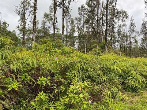 MOLOKAI RD, PAHOA, HI 96778