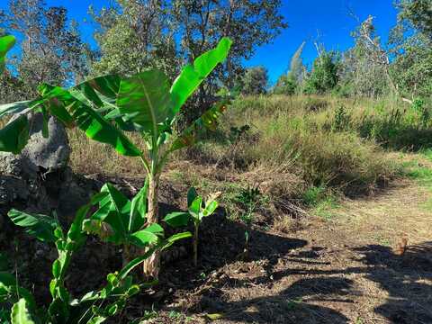 92-8862 LOTUS BLOSSOM LN, OCEAN VIEW, HI 96737