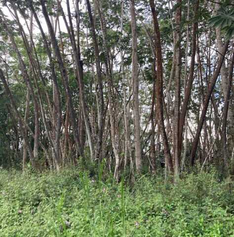 LEHUA RD, PAHOA, HI 96778