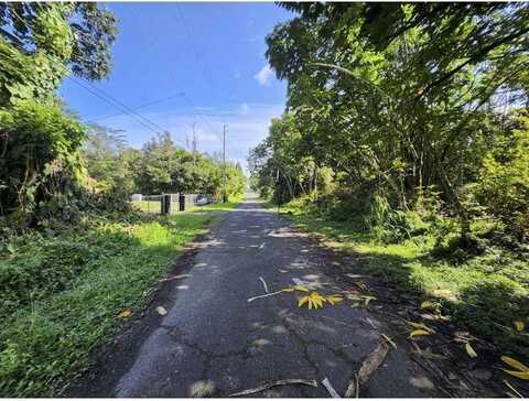 KAWAKAWA ST, PAHOA, HI 96778