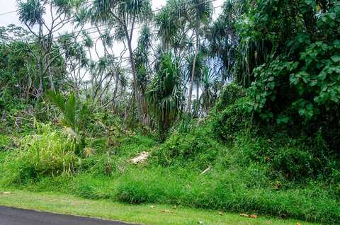 HAUKEUKE ST, PAHOA, HI 96778