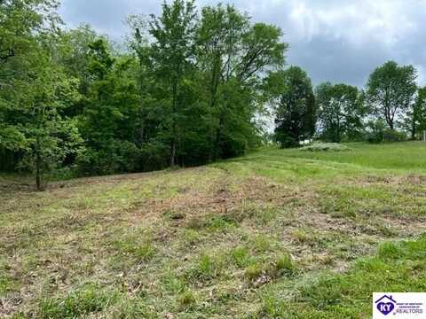 111 Marina Point Lane, Falls Of Rough, KY 40119