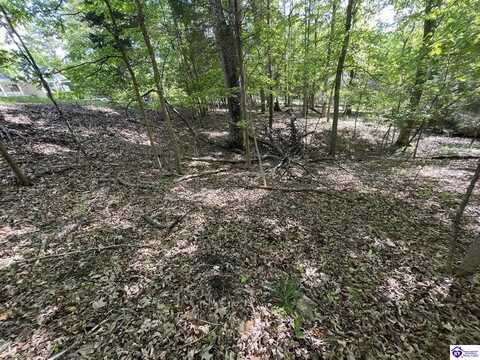 Lot 243 Pine Point Road, Brandenburg, KY 40108