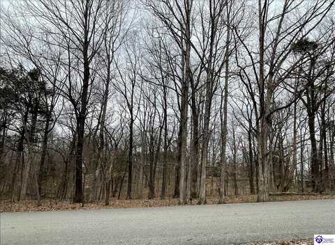 Lot 185 Dogwood Road, Brandenburg, KY 40108