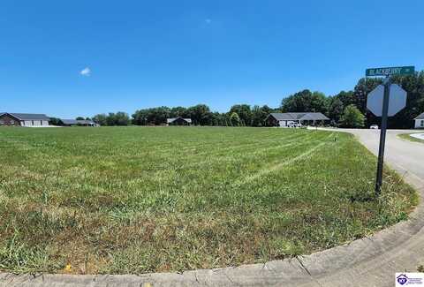 lot 30 Blue Bird Circle, Campbellsville, KY 42718