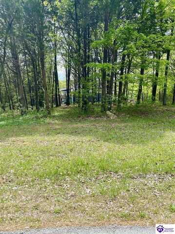 Lot 333 Pine Point Road, Brandenburg, KY 40108