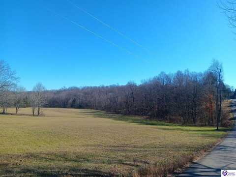 365 Shores Road, Falls Of Rough, KY 40119