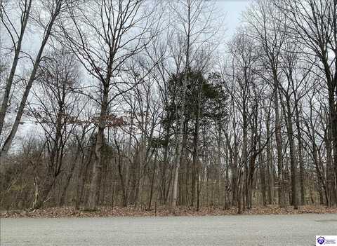 Lot 186 Dogwood Road, Brandenburg, KY 40108