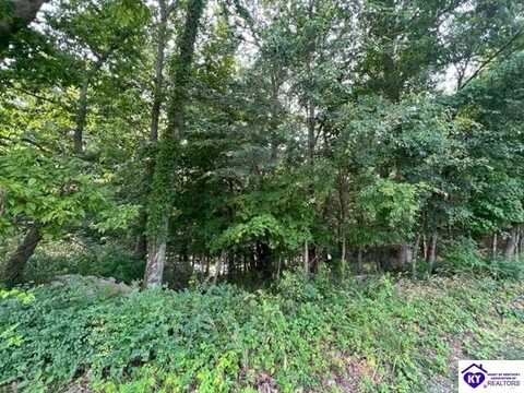 690 Shores Road, Falls Of Rough, KY 40119