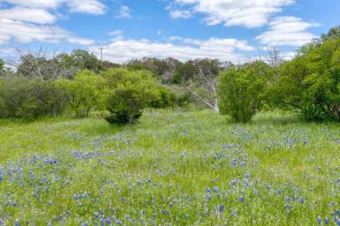 K1166 Mountain Dew Road, Horseshoe Bay, TX 78657