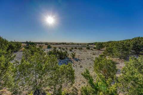 Tract 4 CR 207, Burnet, TX 78611