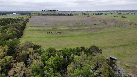 65 Acres CR 200, Burnet, TX 78611