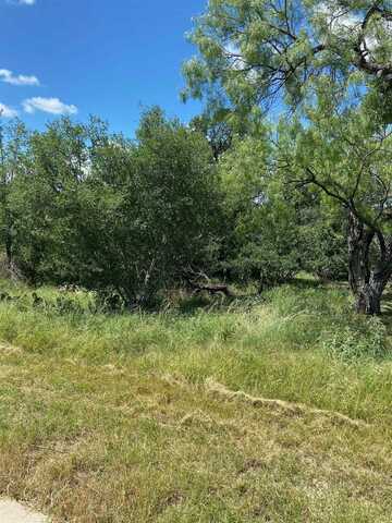 Lot 158 N. Blue Ridge Trail, Horseshoe Bay, TX 78657