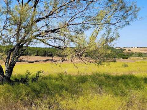 Tract 2 CR 207, Burnet, TX 78611