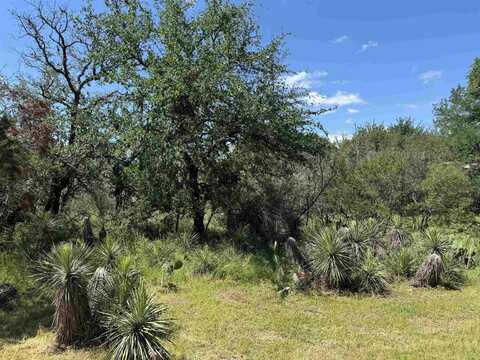 Lot 173 174 W Briar Drive, Granite Shoals, TX 78654