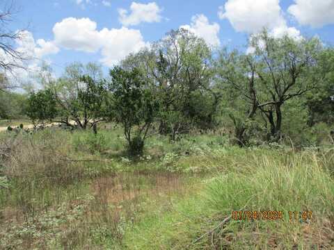 Lot 149a E Hickory Drive, Granite Shoals, TX 78654