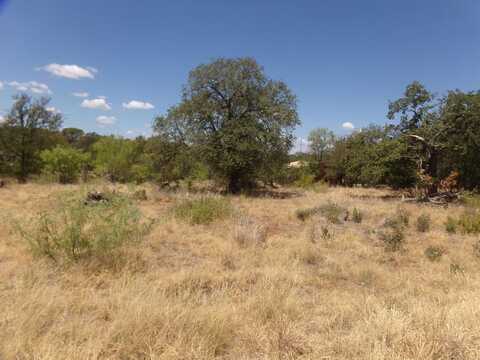 Lot 141 PINE, Cottonwood Shores, TX 78657