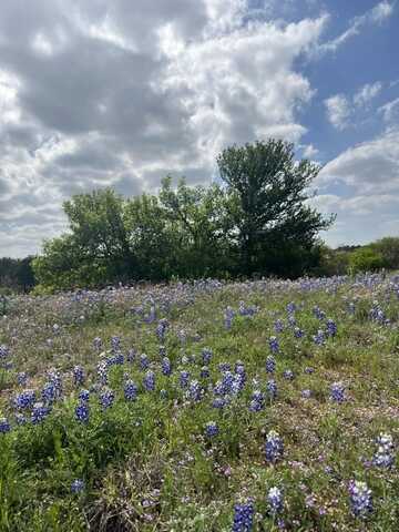 Escondido Lot C-60 La Serena Loop, Horseshoe Bay, TX 78657