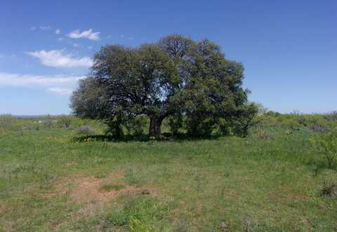 2698 CR 105, Castell, TX 78643