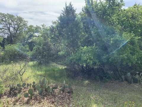 Lot 219 Western Dr, Kingsland, TX 78639