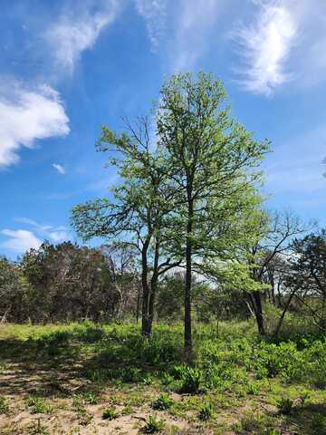 Lot 14 W FM 243, Bertram, TX 78605