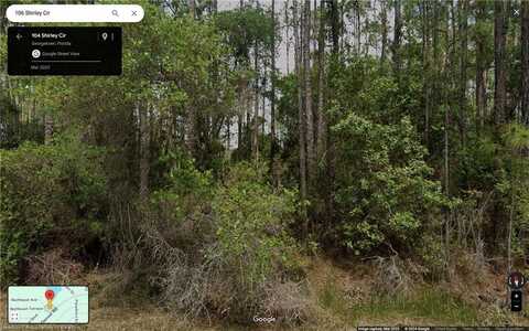 106 Shirley Circle, Georgetown, FL 32139