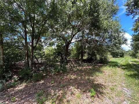 2920 W Bulaich Road, Avon Park, FL 33825