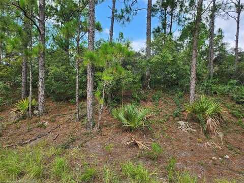 124 Fascination Drive, Lake Placid, FL 33852