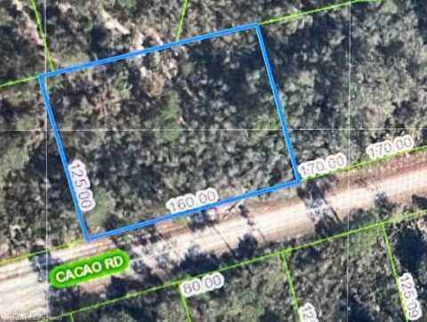 3041 Cacao Road, Lake Placid, FL 33852