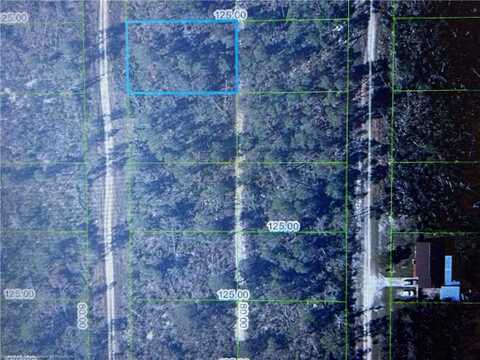 436 PARAKEET Avenue, Sebring, FL 33872