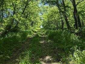 40.2 Ac Mineral Point Road, Troy, KS 66087