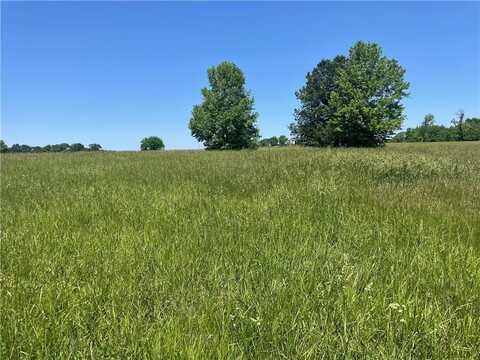 Lot 2385 Fisherman Road, Altamont, MO 64620