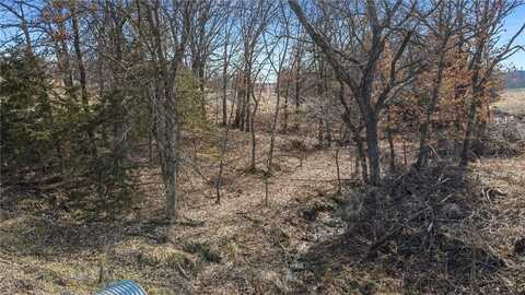 Lot 1 SE 226th Street, Lawson, MO 64465