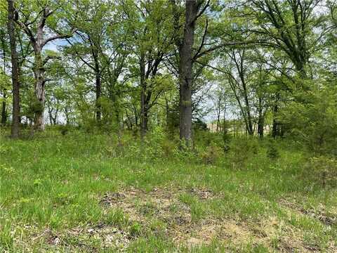 Lot 3038 Lake Viking Terrace, Gallatin, MO 64640