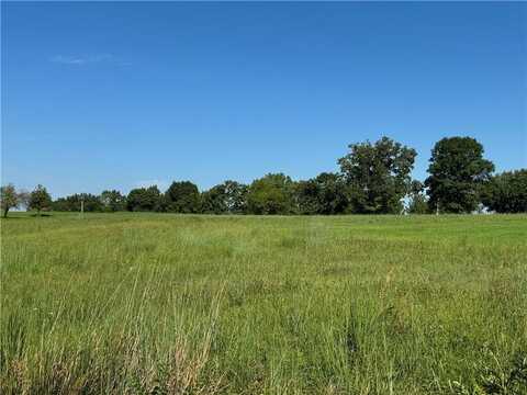 Lot 2432 Fisherman Road, Altamont, MO 64620