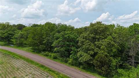 Pigeon Hill Road, Agency, MO 64401