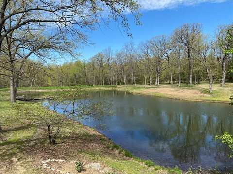 56 SE 951st Road, Knob Noster, MO 65336