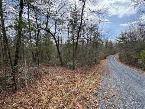 Lot 45 FETTERBUSH LN, HINTON, VA 22831