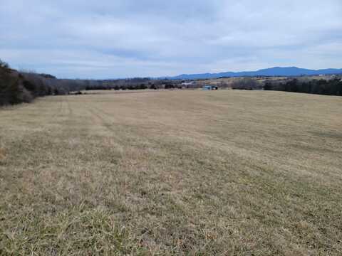 0 DAM TOWN RD, FORT DEFIANCE, VA 24437