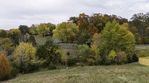 Lot 40 LOCUSTDALE LOOP, SHENANDOAH, VA 22849