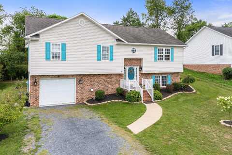 85 FALCON LN, WEYERS CAVE, VA 24486