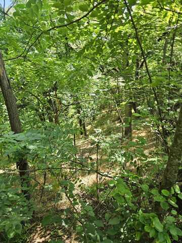 3 acres MOSSY CREEK RD, MOUNT SOLON, VA 22843