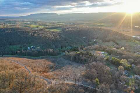 TBD NEW MARKET DEPOT RD, NEW MARKET, VA 22844