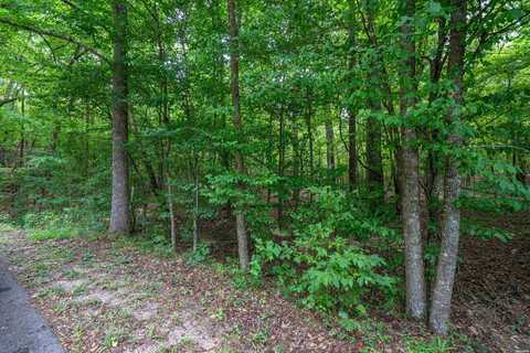 Lot 30 DEER RUN, Malvern, AR 72104