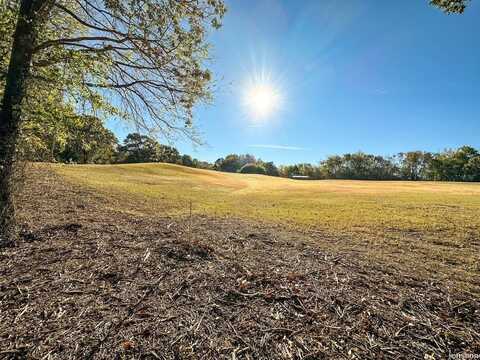738 & 739 FIRESTONE Drive, Hot Springs, AR 71913
