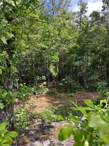xx lot #1 ROSBORO, Glenwood, AR 71943